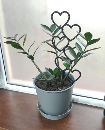 2x PODPÓRKA KWIATÓW ROŚLIN PERGOLA SERCA 37cm
