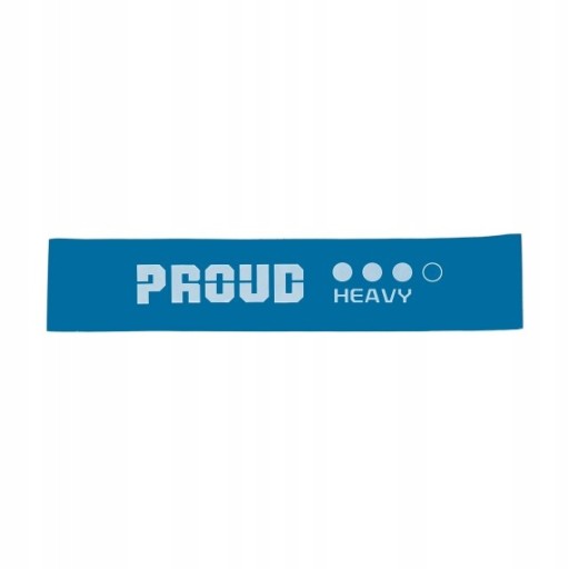 НАБОР ИЗ 4-Х МИНИ-РЕСПОРТОВ ДЛЯ ФИТНЕСА PROUD RESISTANTS ДЛЯ ТРЕНИРОВОК