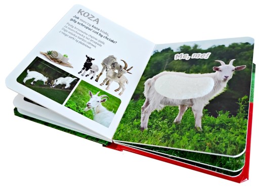 КНИГА КНИГА ТАТТ THE COUNTRY ANIMAL Z