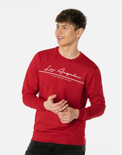 Мужская толстовка с длинным рукавом Длинная толстовка 3098-3 XXL