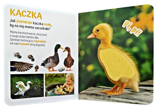 КНИГА КНИГА ТАТТ THE COUNTRY ANIMAL Z