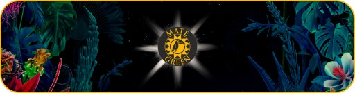Yerba Mate Green MAS ENERGIA GUARANA 1 кг 1000 г + 50 г FRUTAS Бесплатно