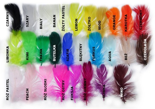 PIÓRA GĘSIE 4-8cm 50g=1000szt BANAN ECRU 9673