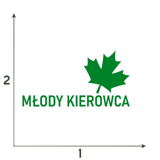 Наклейка Green Leaf Young Driver на автомобиль 16x8 - идеальная, долговечная