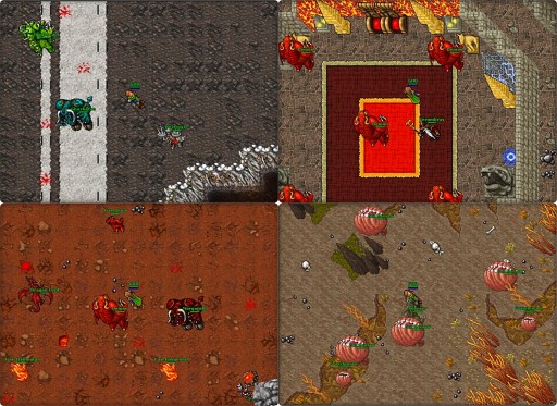 TIBIA REAL OTS 13.21 ПОЛНЫЙ СЕРВЕР С WWW, РУКОВОДСТВО. 2000 ИГРОКОВ