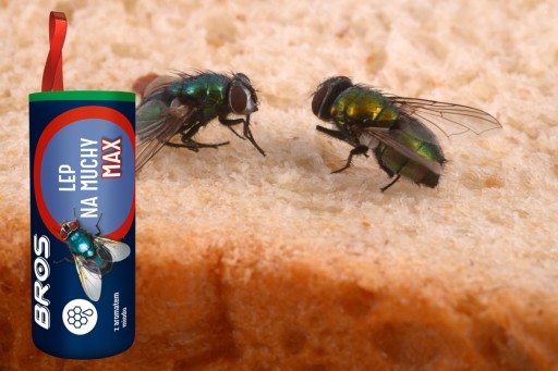 BROS Lep Okrągły MAX na Muchy, Muszki Owocówki Skuteczny Miodowy Wabiący