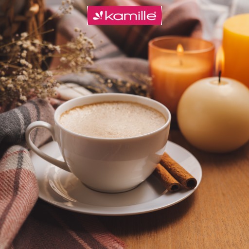 ЭЛЕКТРИЧЕСКАЯ КОФЕВАРКА COFFEE BREEDER 300 мл KAMILLE