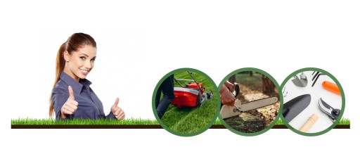 СВЕЧА ЗАЖИГАНИЯ CHAMPION J19LM MOWER 992300