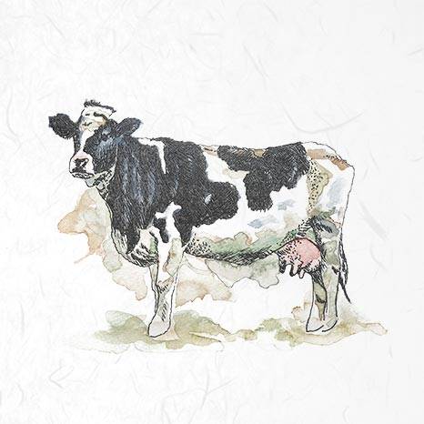 Zestaw papierów ryżowych farma zwierzęta