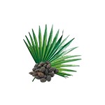 Hairmax Acceler8 Интенсивное лечение волос + питательные вещества без смывания