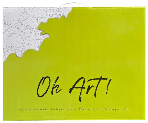 КРАСКА ПО ЦИФРАМ Цветы Картины по номерам В РАМКЕ Oh Art