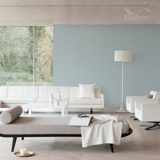 Латексная краска DULUX EASYCARE SILVER MINE 2.5