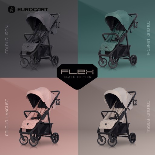 КОЛЯСКА FLEX НА БОЛЬШИХ КОЛЕСАХ 0–22 КГ + АКСЕССУАРЫ