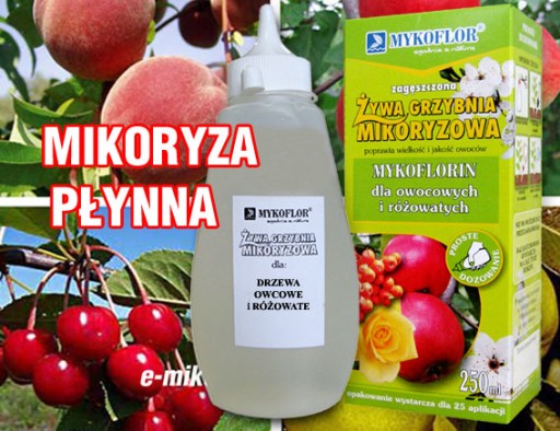 Микориза для роз и плодовых деревьев