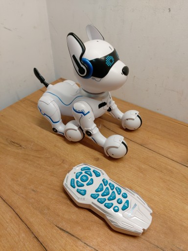 Power Puppy, моя умная роботизированная собака DOG01