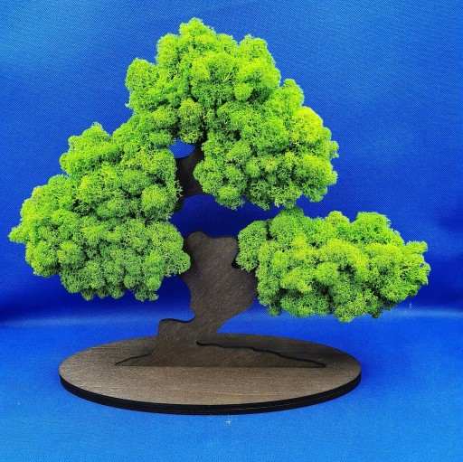 Дерево бонсай с 3D мхом, красивый мох со всех сторон