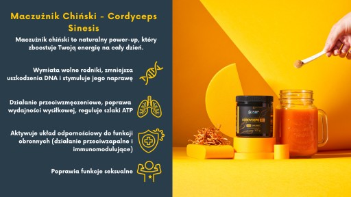 CORDYCEPS STRONG 20:1 30г Кордицепс китайский Славянские Лаборатории