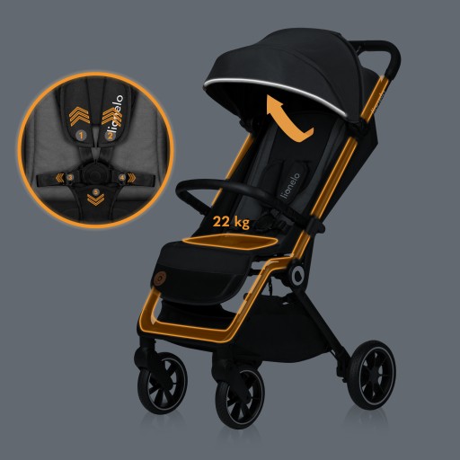 Коляска коляска до 22кг БОЛЬШИЕ КОЛЕСА + аксессуары Lionelo Cloe