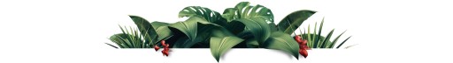 КОФЕ В ЗЕРНАХ 1кг Желтый Бурбон СВЕЖЕОБЖАРЕННЫЙ - 100% АРАБИКА - СИНЯЯ КАСАТКА