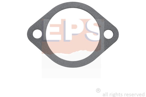EPS USZCZELKA TERMOSTATU 1.890.607