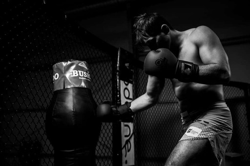 10 унций. Боксерские тренировочные перчатки с системой Ac Bushido