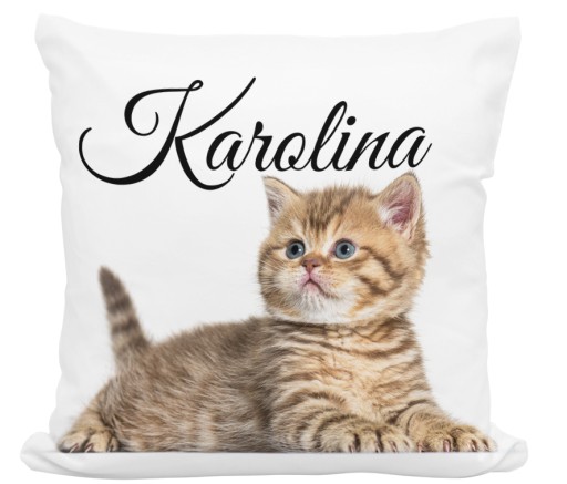 КРУЖКА-ПОДУШКА С КОШКОЙ, КОШКАМИ И ИМЕНЕМ В КАЧЕСТВЕ ПОДАРКА