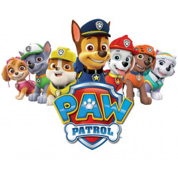 ДЕТСКИЕ СОЛНЦЕЗАЩИТНЫЕ ОЧКИ PAW PATROL 4+