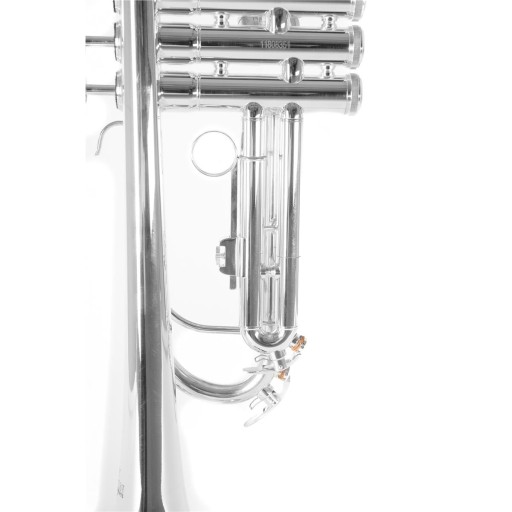 Посеребренная труба Roy Benson TR-202S RB701072
