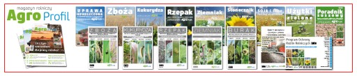 Морковь - ноутбук выращивания