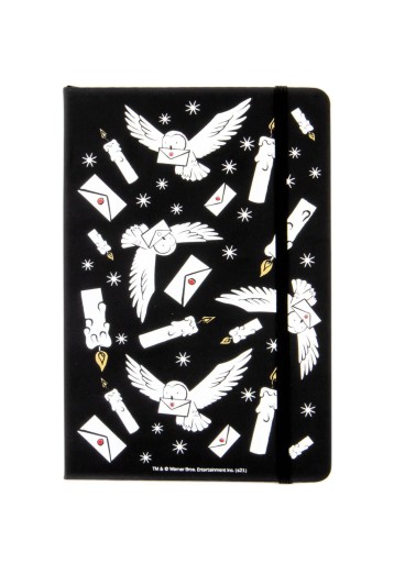 Notes A5 Harry Potter Hedwiga gumka 96k w kratkę