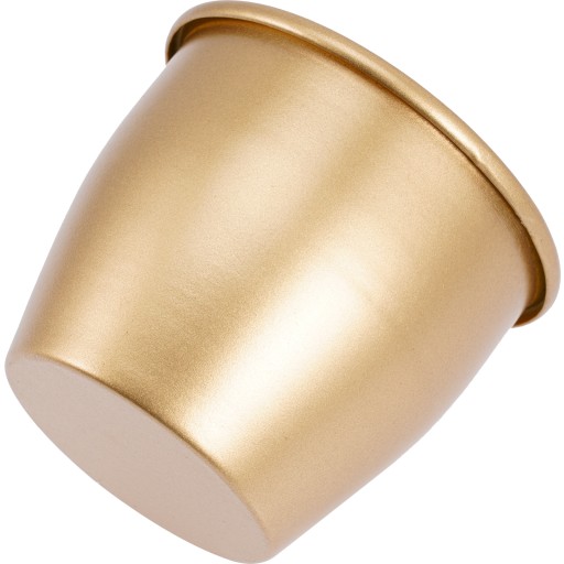 ДЕКОР ЦВЕТЫ БРЮКИ КОМНАТНЫЕ РАСТЕНИЯ GOLDEN HOUSE