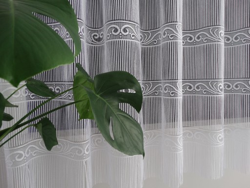MG FIRANA ESY żakard sznurki BIAŁY moduł 300x125cm 36072