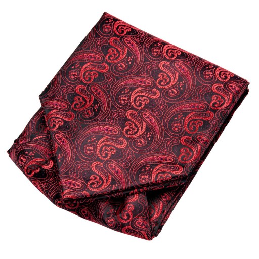 Мужской комплект жаккардовых шалей Ascot, запонки POCKET CHECK, доставка24