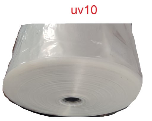Folia tunelowa ogrodnicza uv10 gardvenvit 8x11