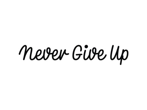 Naklejka NEVER GIVE UP na auto szybę *22cm *KOLORY *Bez Tła