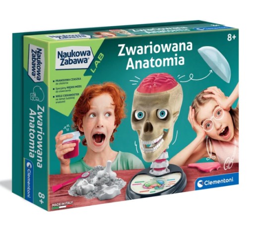 Анатомический набор для детей - Crazy Anatomy Clementoni