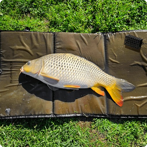 КОМПЛЕКТ КОРМУШЕК SAHIDO 10*30 г GROUND 2*ANTI TUBE