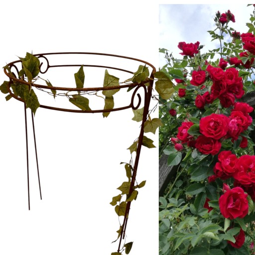Поддержка Hydrangea Hydrangea. Pergola 60 /90 см твердое вещество
