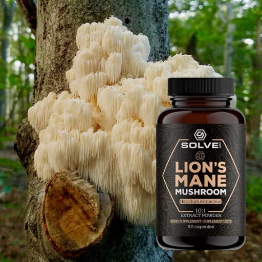 ГРИБ ERRINE LION'S MANE SOLVE LABS 60 капсул ЭКСТРАКТ ЛЬВОВОГО ГРИБА 10:1