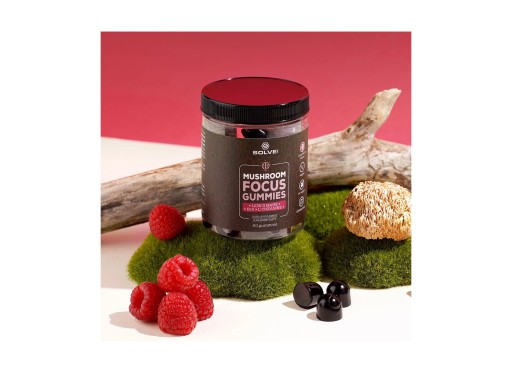SOLVE LABS MUSHROOM FOCUS GUMMIES JELLIES 240G Lion's Mane B12 Theanine