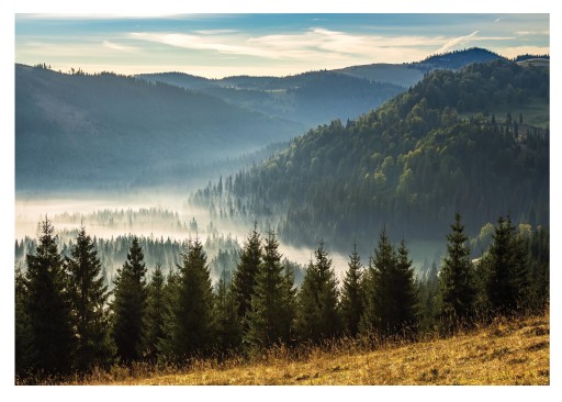 Fototapeta NA ŚCIANĘ Góry Drzewa Natura 254x184