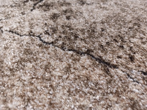 Miami Rug 60x100 Tree Trunk 129 V BEIGEE NEW !!