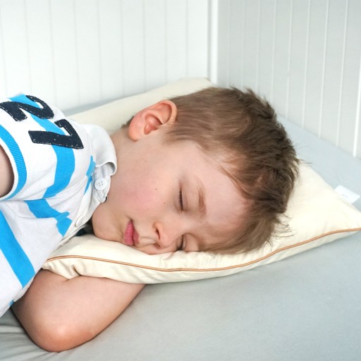 PUSH PILLOW 100% BAW. POLDAUN 40x40 см