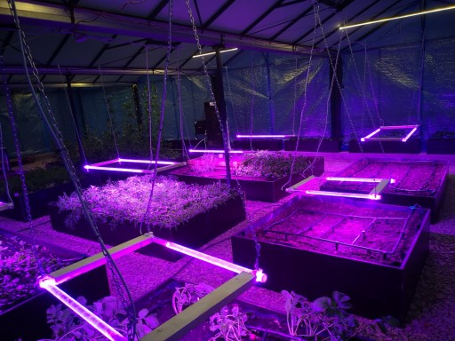 GROW LED 10W 60LED POLAND Лампа для выращивания растений