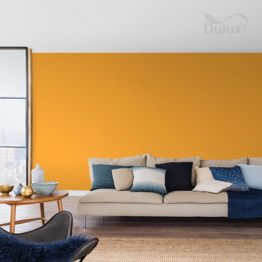 DULUX COLORS OF THE WORLD 2,5л - Корень куркумы