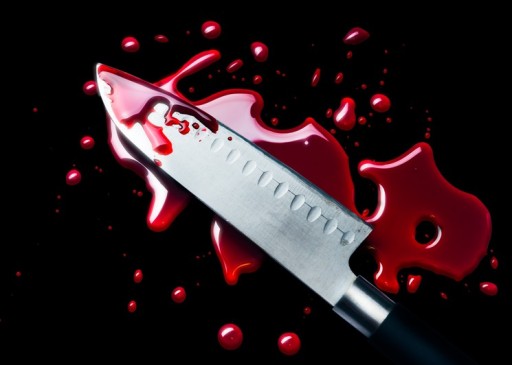 ИСКУССТВЕННАЯ КРОВЬ FX BLOOD PROFESSIONAL HALLOWEEN 250мл