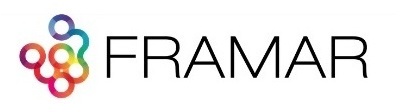 НАБОР ПАРИКМАХЕРСКИХ РАСЧЕСЕН FRAMAR DREAMWAVER COMBS PSTL, 3 ШТ.