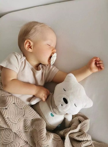 SUMMY BEAR FRANEK SOUND + КУЛОН ДЛЯ ПРОРЕЗКИ ЗУБОВ