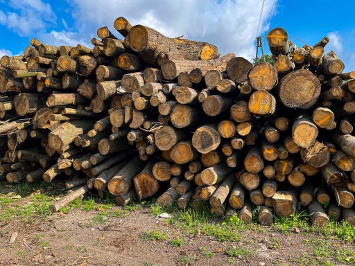 DREWNO DO KOMINKA KOMINKOWE 10 KG DO GRILLA, OGNISKA, WĘDZENIA, OPAŁ, DĄB