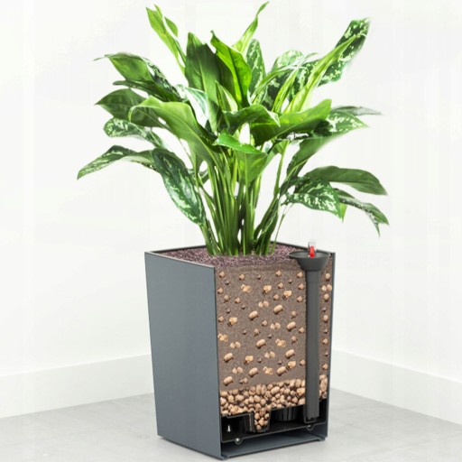 Субстрат для монстеры стрелиции Lechuza PON 18L